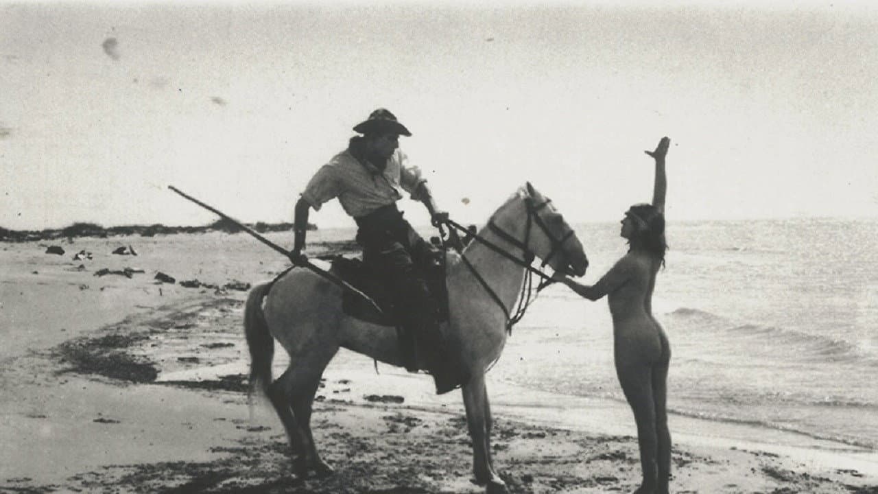 King of Camargue backdrop