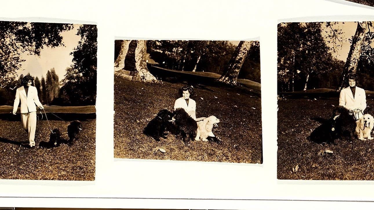 Call Me Kate backdrop