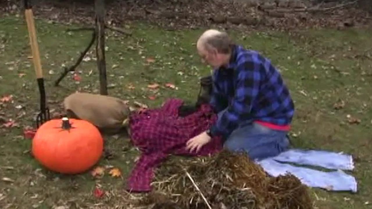 HalloweeNight backdrop