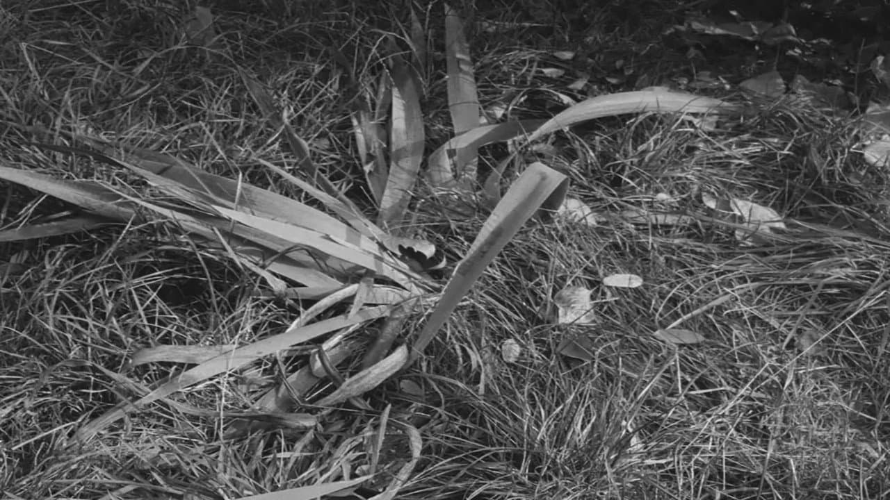 Our Dear Mr. Foerster Died backdrop