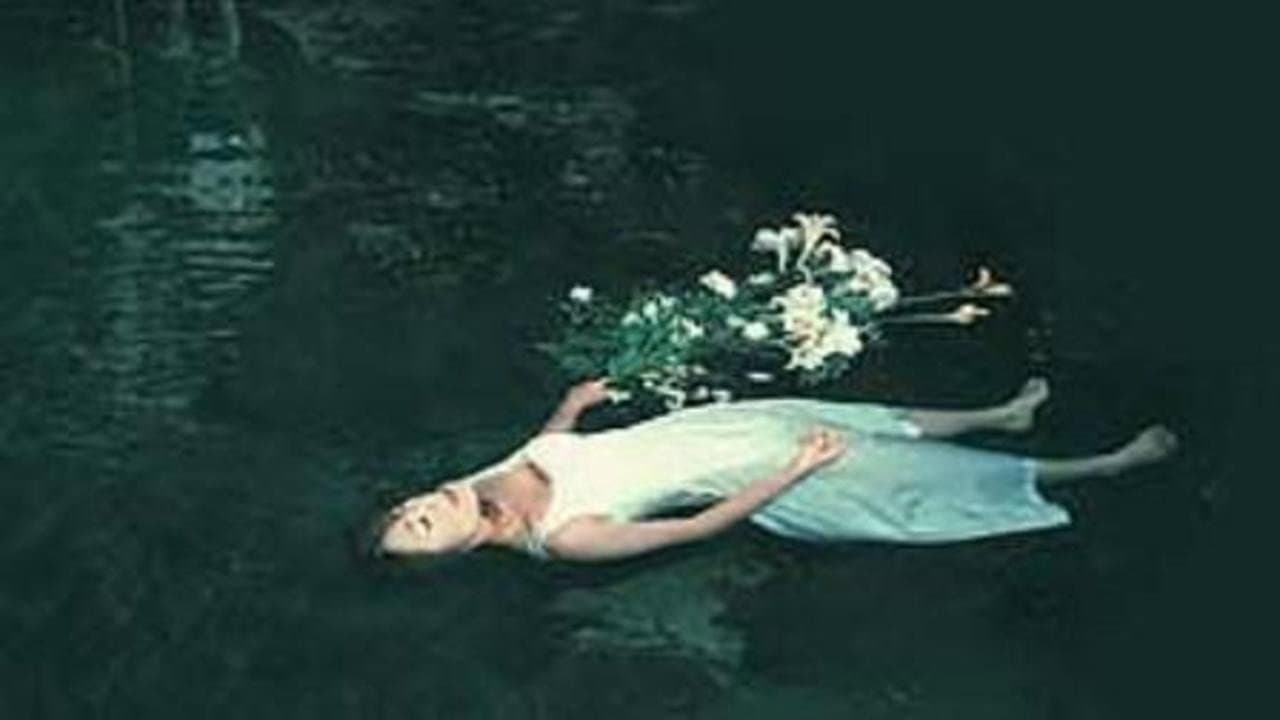 Akame 48 Waterfalls backdrop