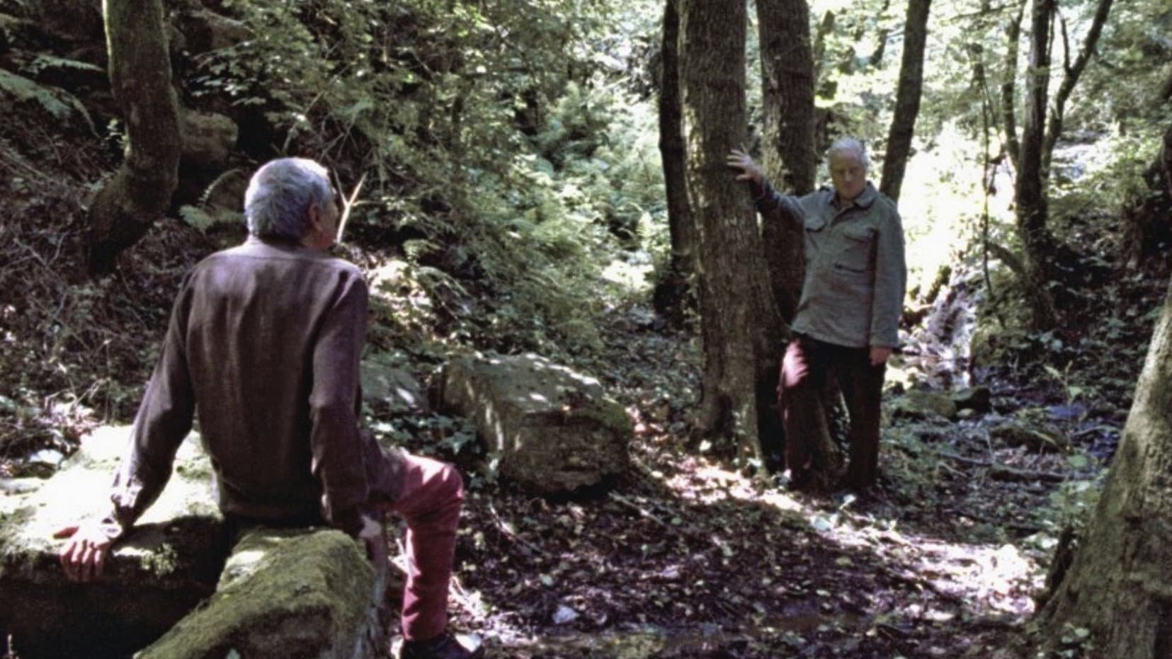 Artemide’s Knee backdrop