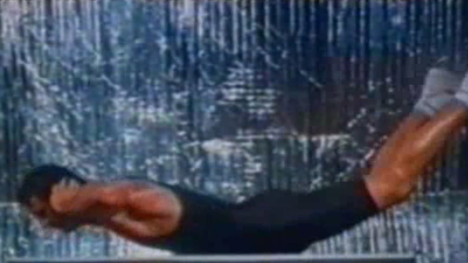 Born to Be a Warrior backdrop