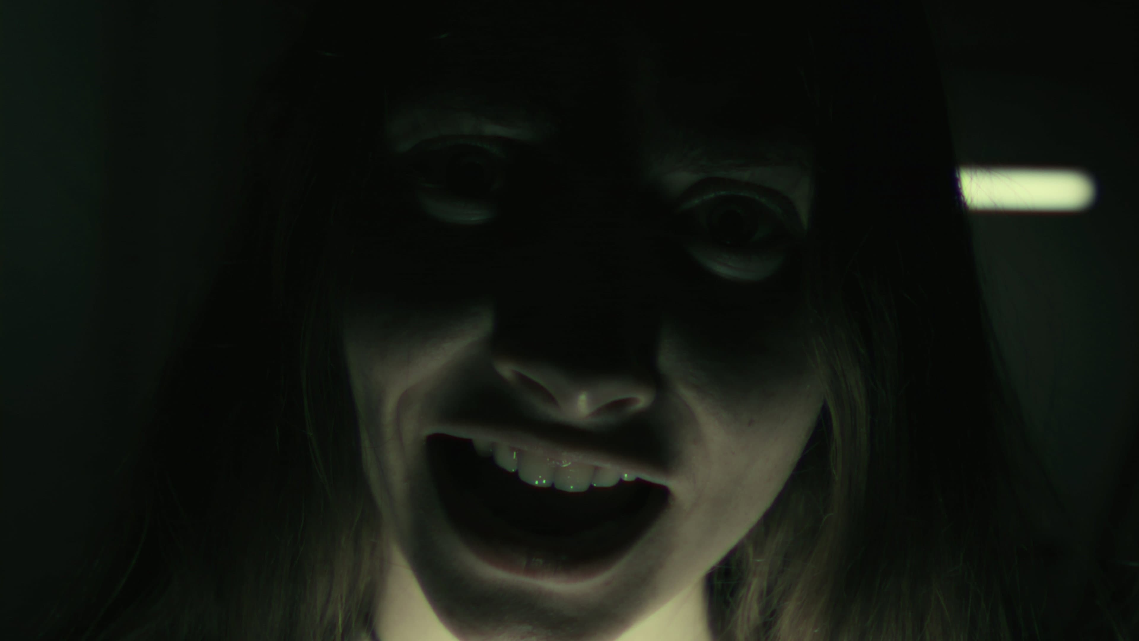 Playland: A Dream-O-Vision Experience backdrop