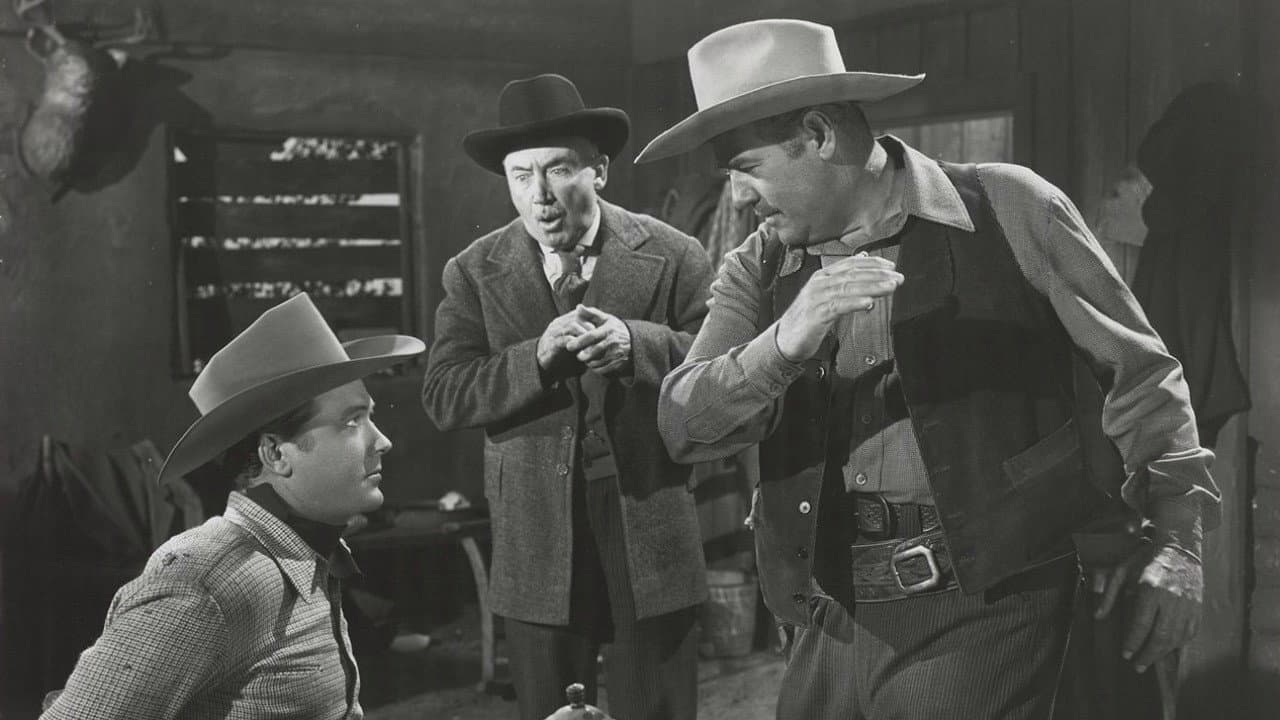 The Timber Trail backdrop