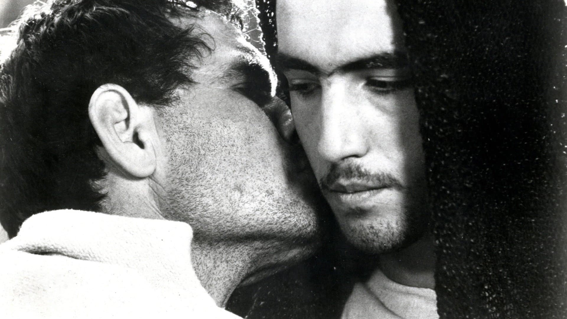 The Gospel According to St. Matthew backdrop