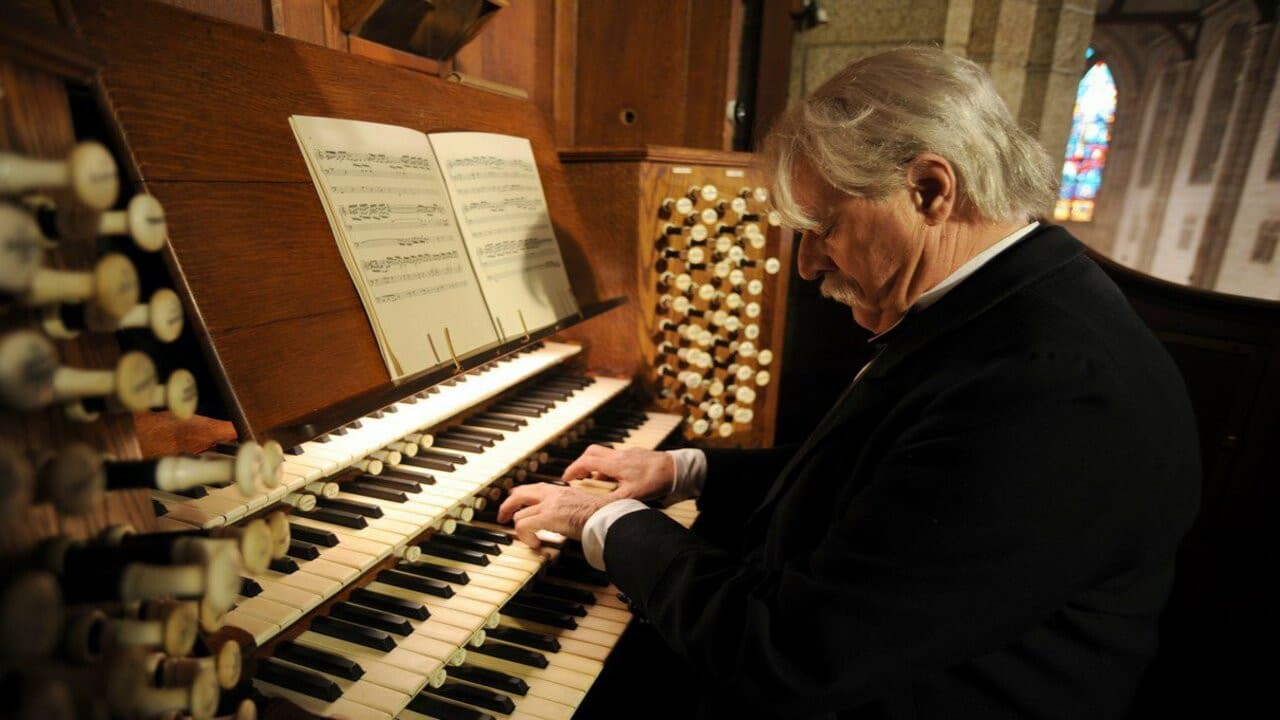 Albert Schweitzer backdrop