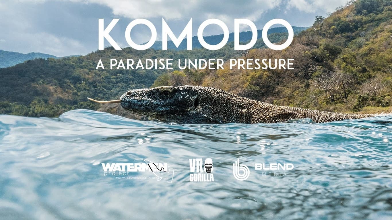 Komodo backdrop