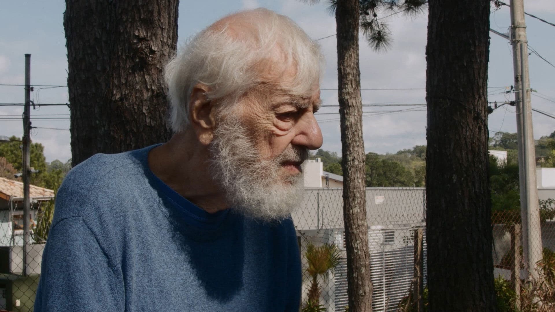 Vlavianos: Impulse and Reason backdrop