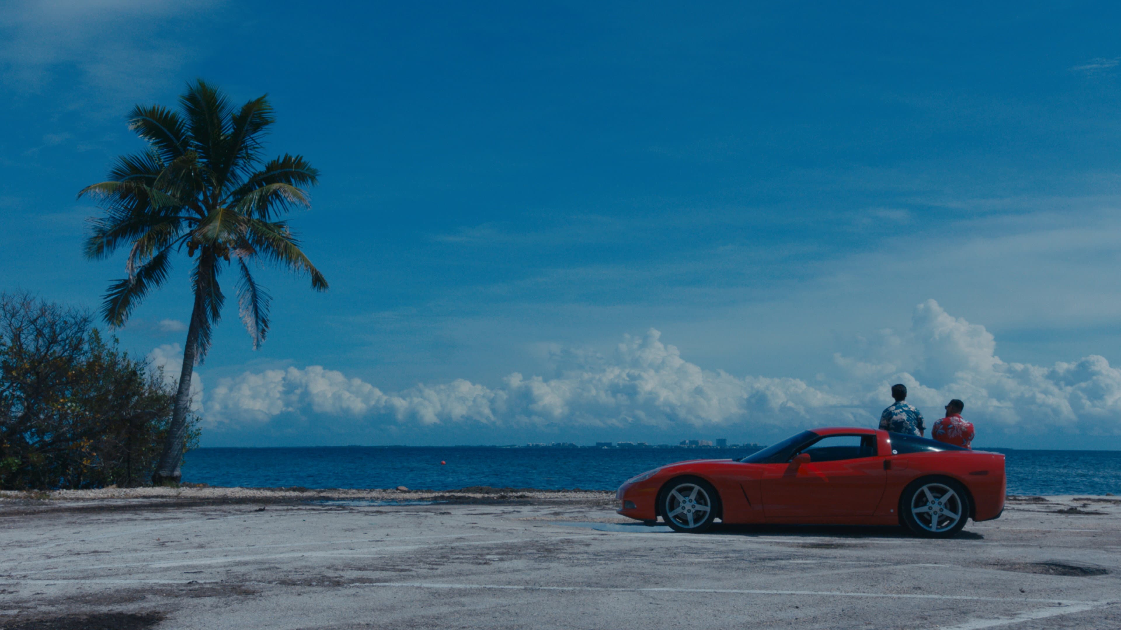 Kung Fu Konundrum backdrop