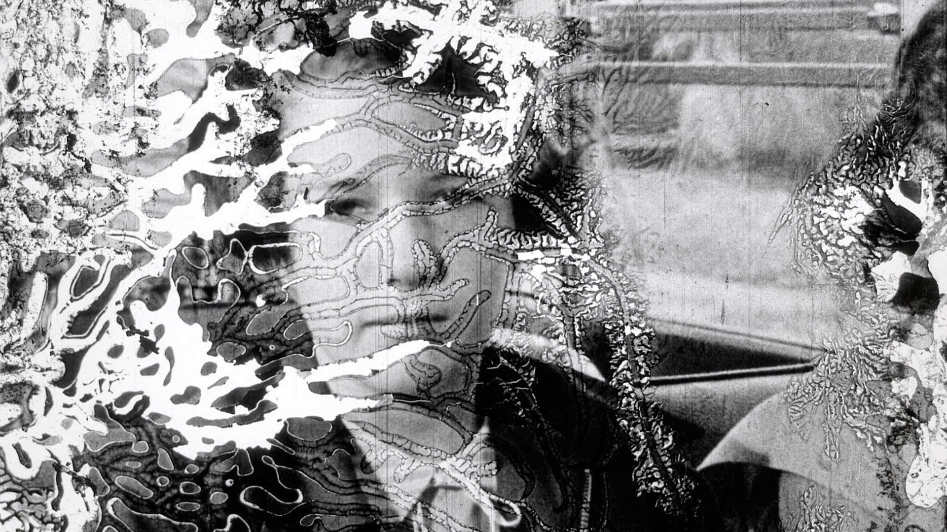 Decasia: The State of Decay backdrop