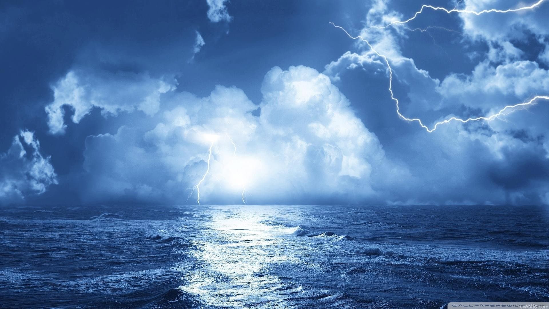 The Blue Cage backdrop