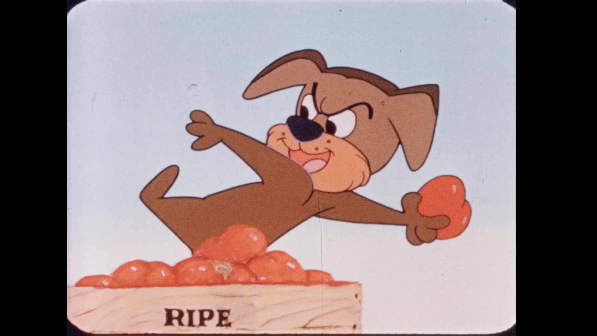 The Three Dogeteers in Courtin' an'a Snortin' backdrop