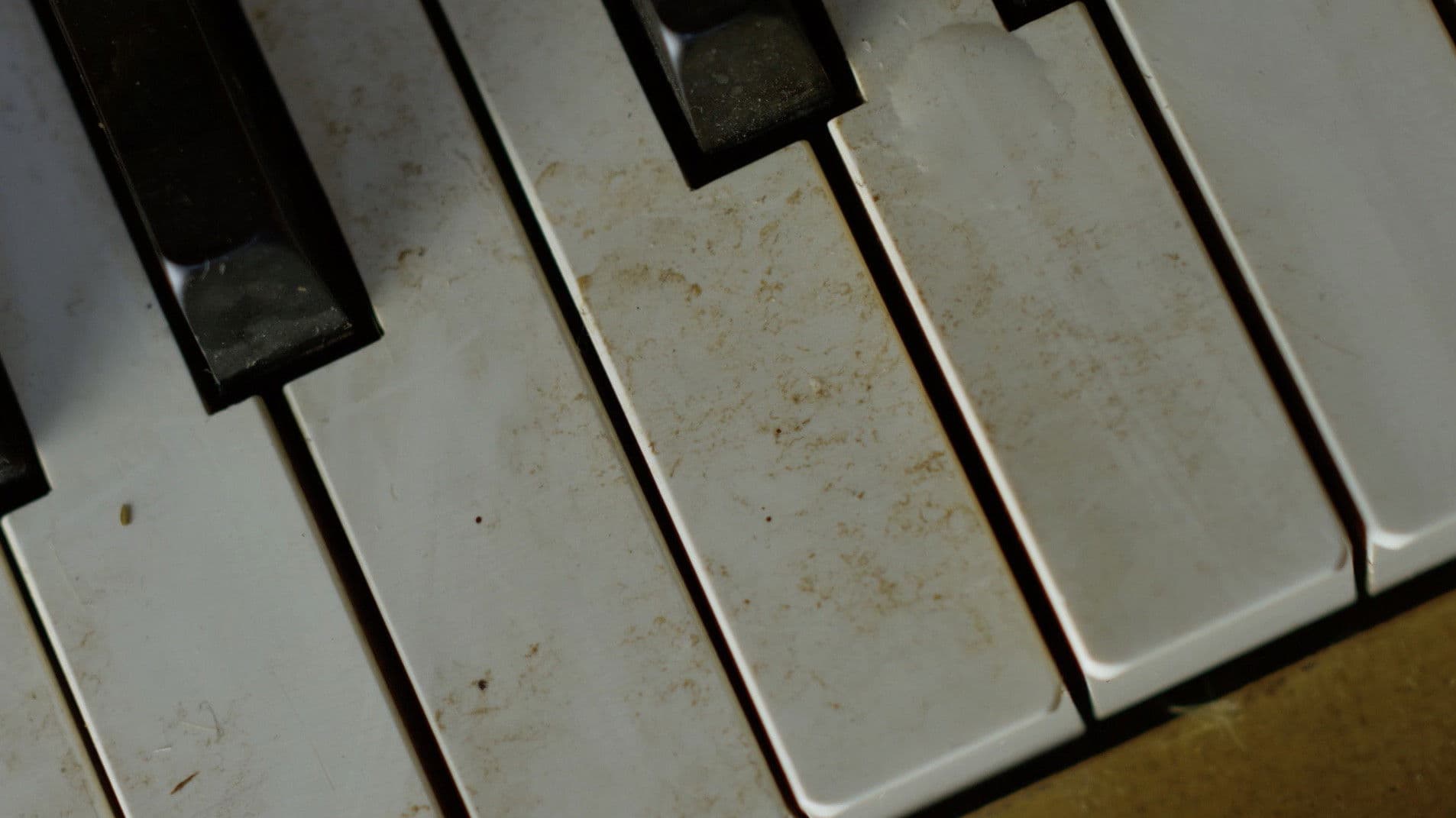 Sentimental Value backdrop