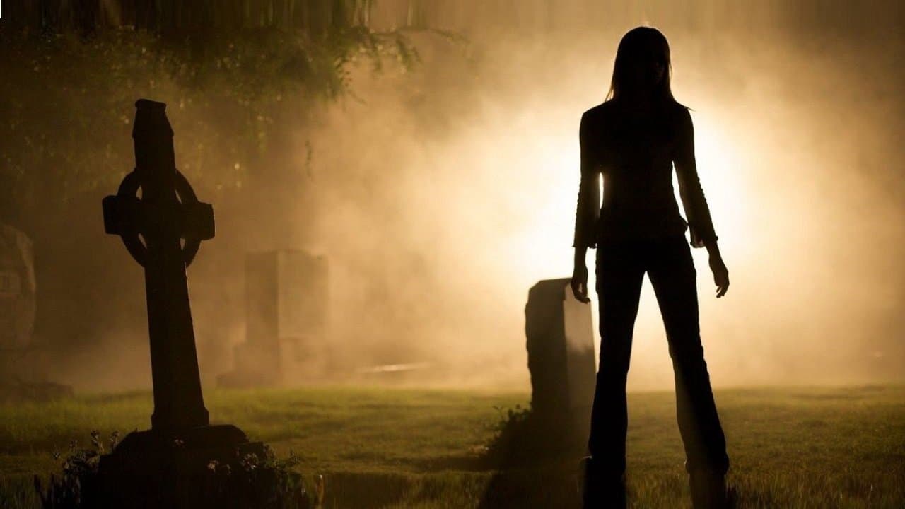 Forget Me Not backdrop