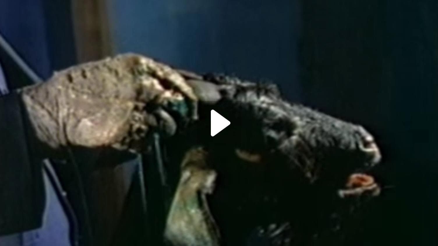 Ritual of Death backdrop