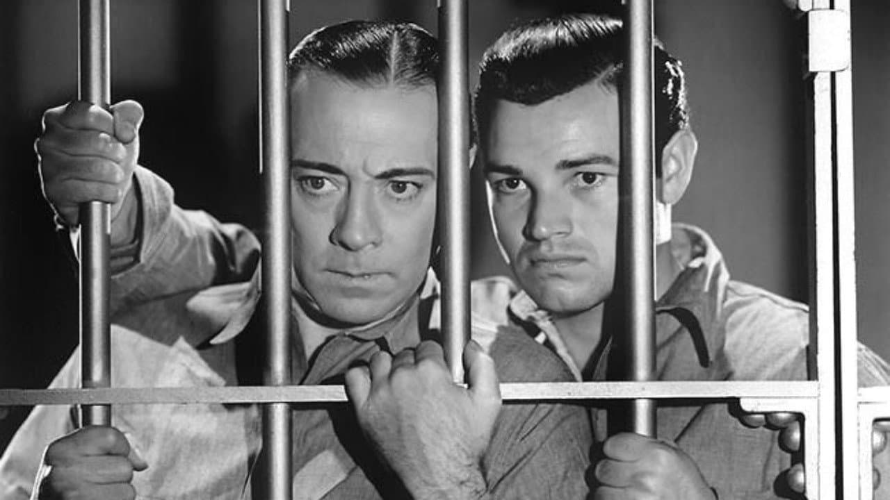 They All Come Out backdrop