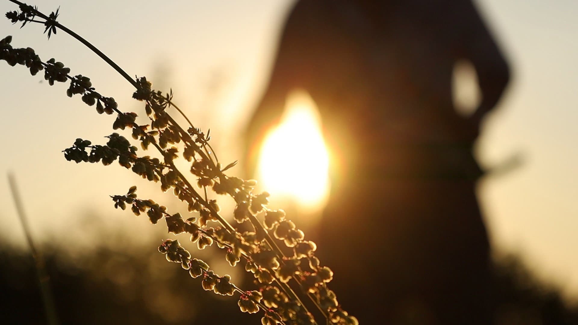 Garden of Eden backdrop