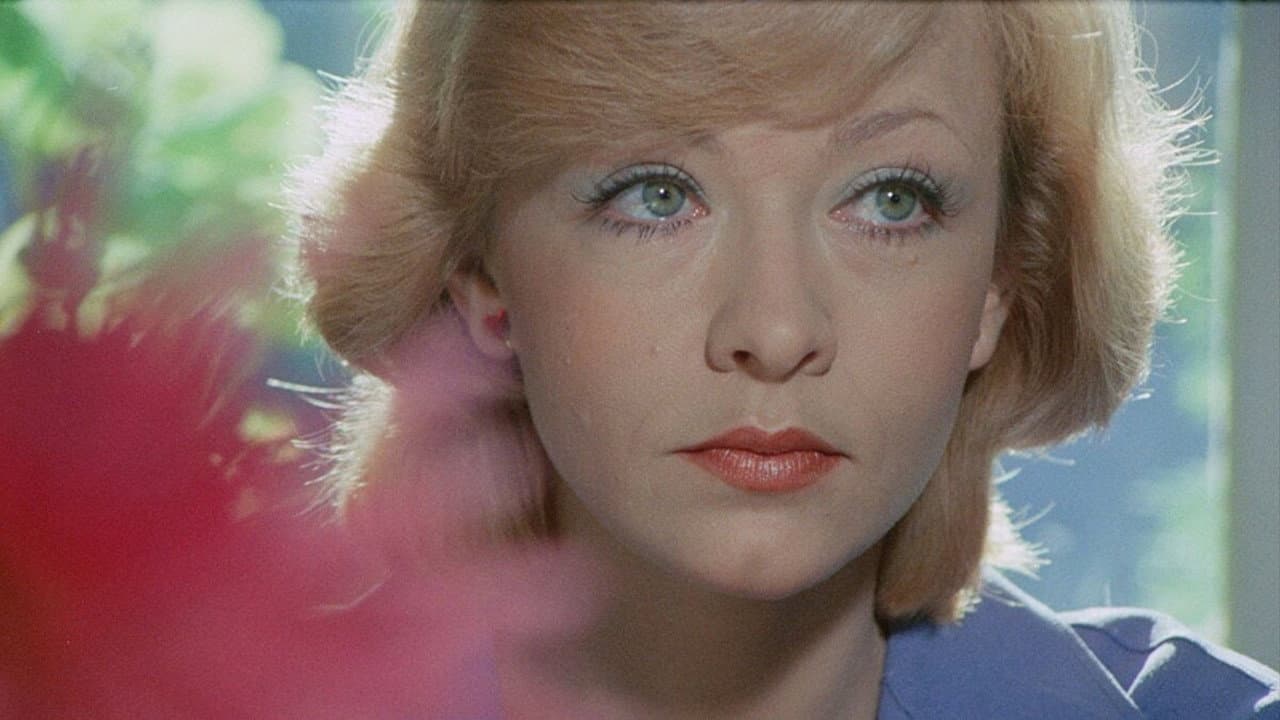 Pavle Pavlovic backdrop