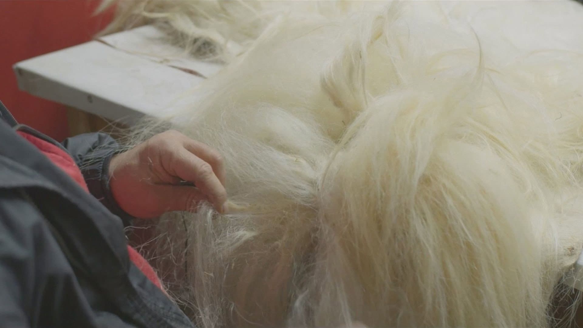 Under the Skins backdrop