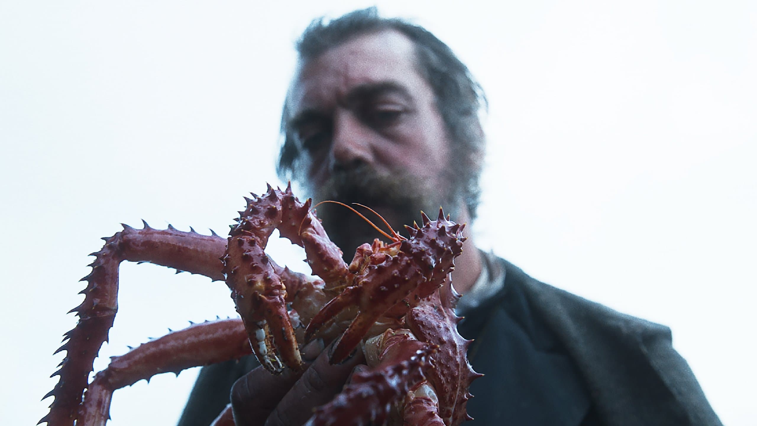 The Tale of King Crab backdrop