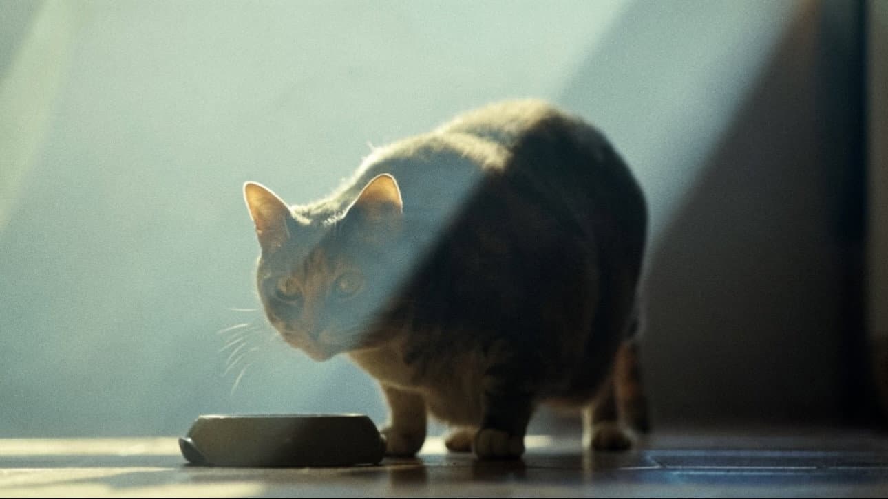 The Doors of Perception backdrop