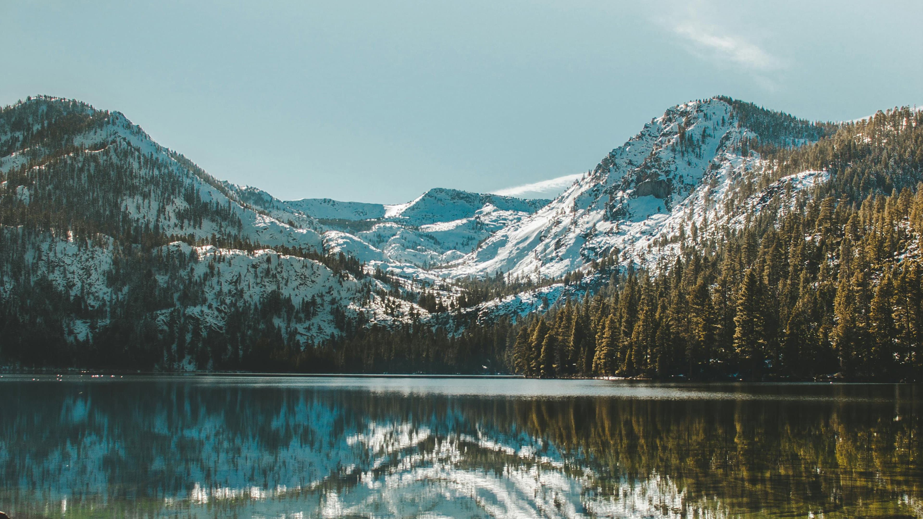 SnowBikeMike Goes Big backdrop
