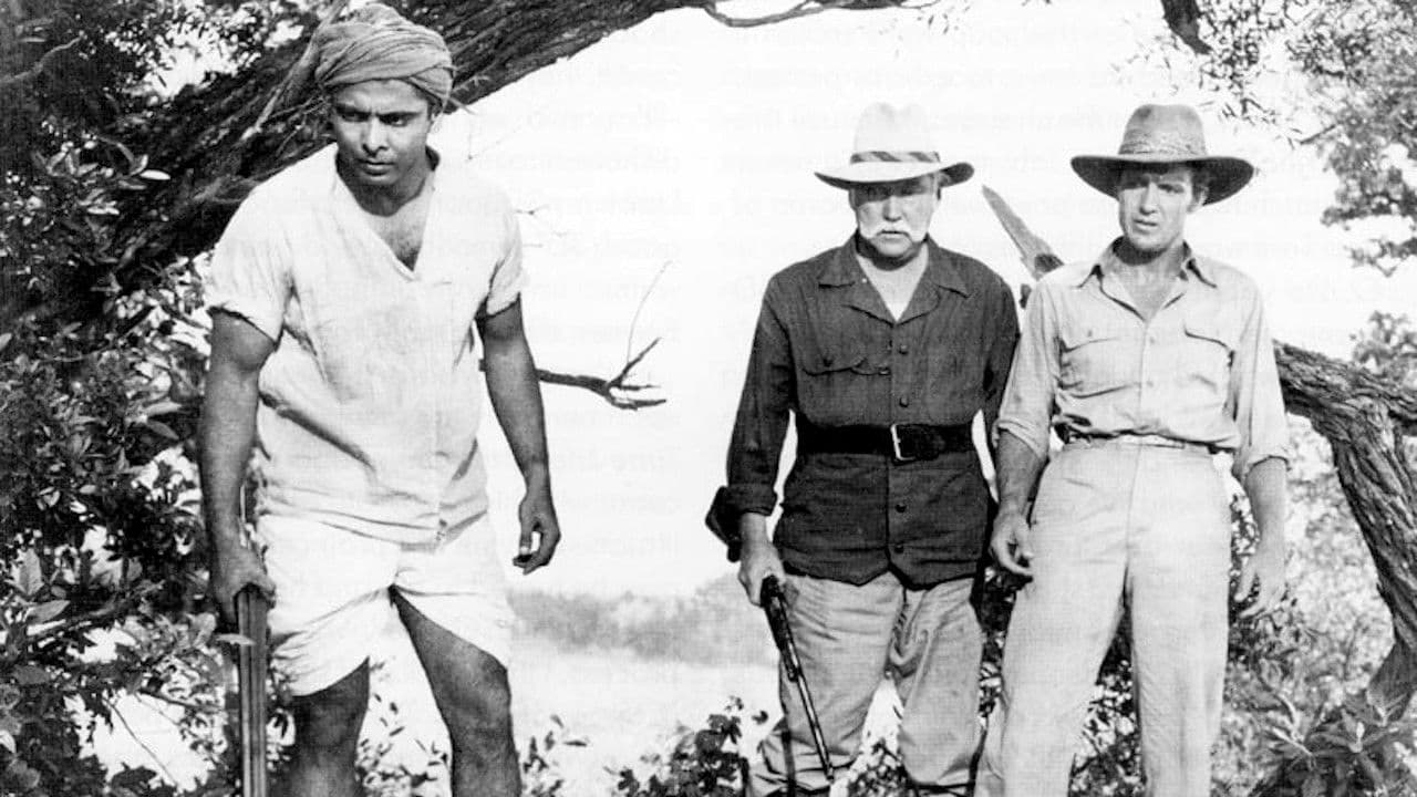 Bwana Devil backdrop