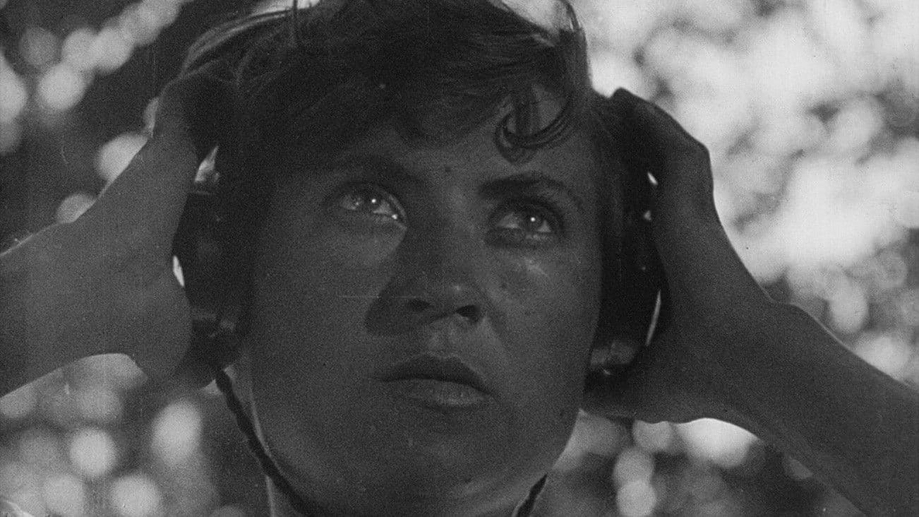 Enthusiasm. Symphony of Donbas backdrop