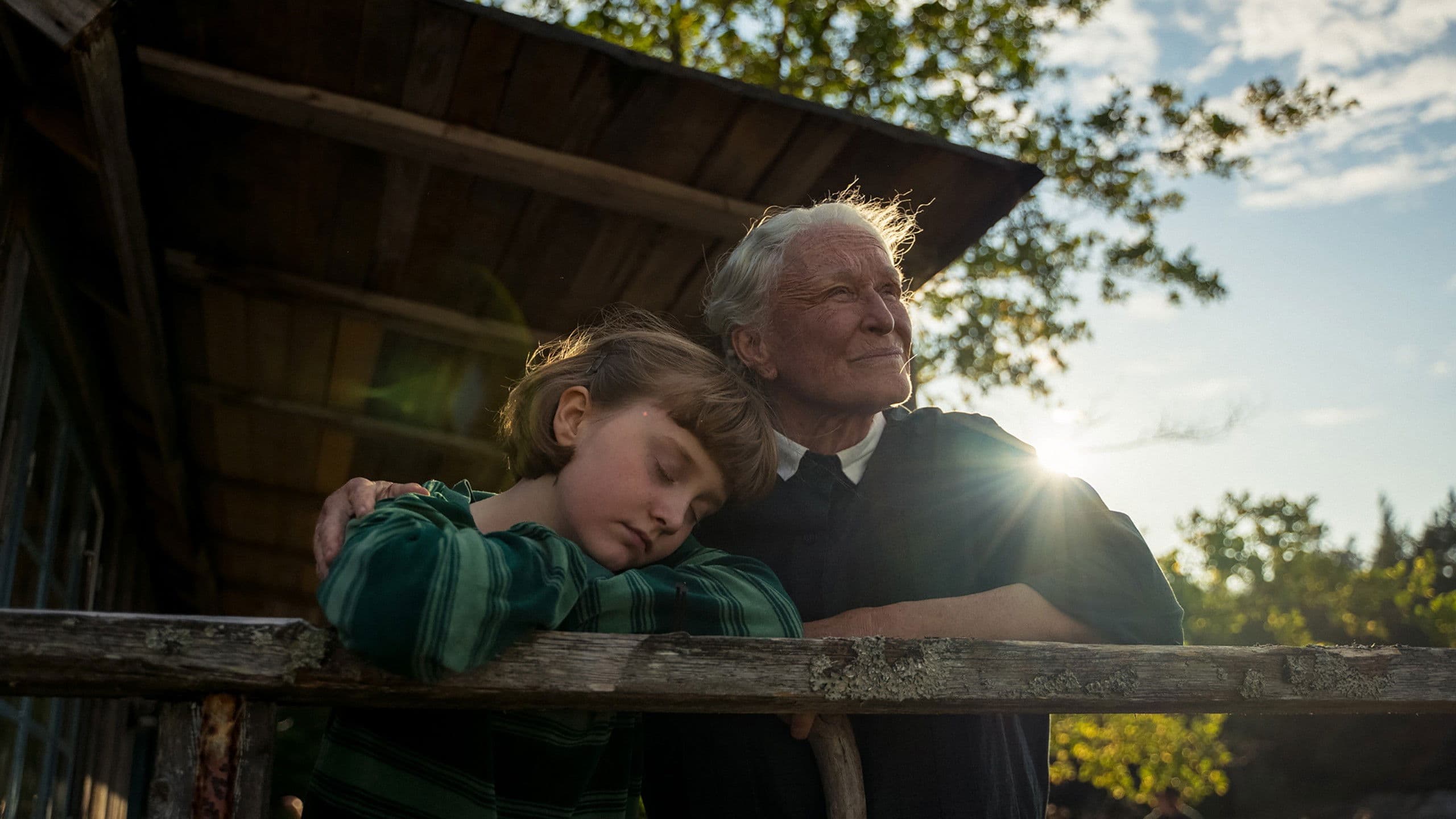 The Summer Book backdrop