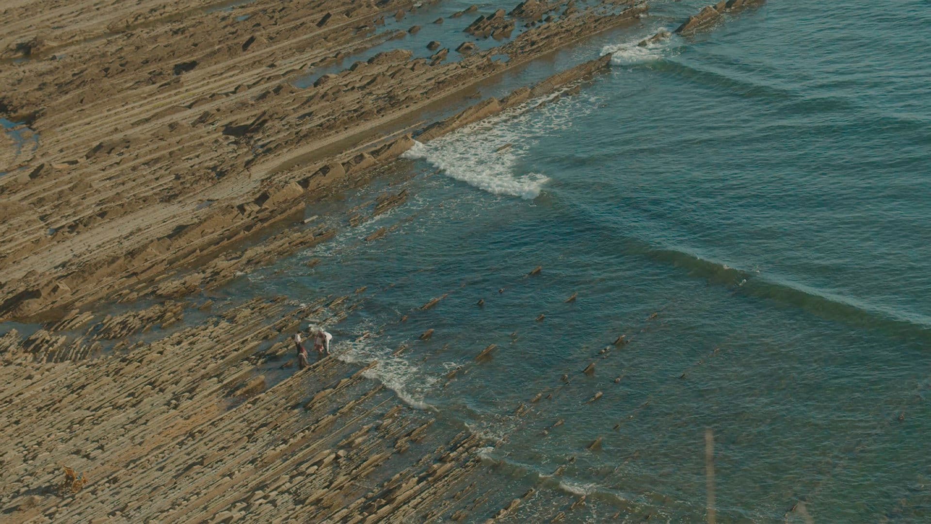 The Disease Has Taken the Farmhouse backdrop