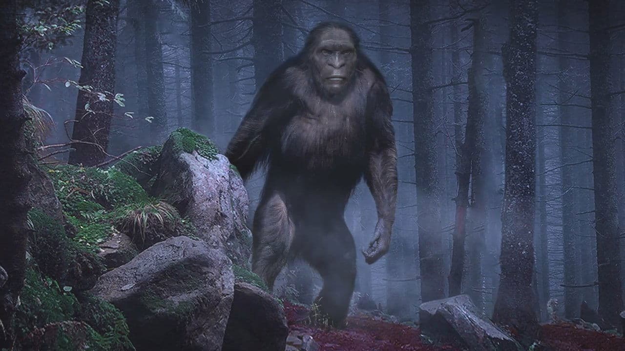 On the Trail of Bigfoot: The Discovery backdrop