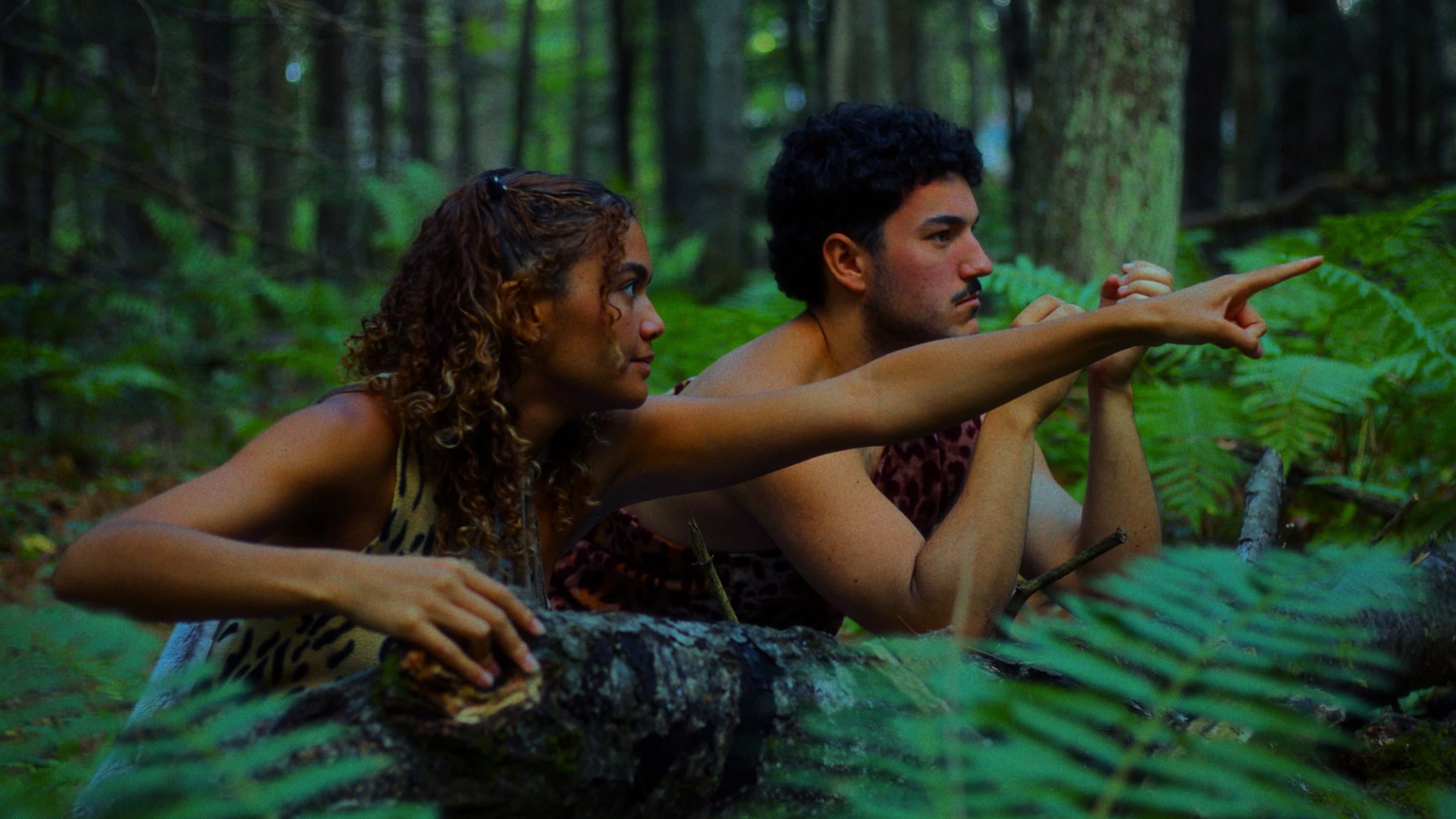 The Discovery of Honey backdrop