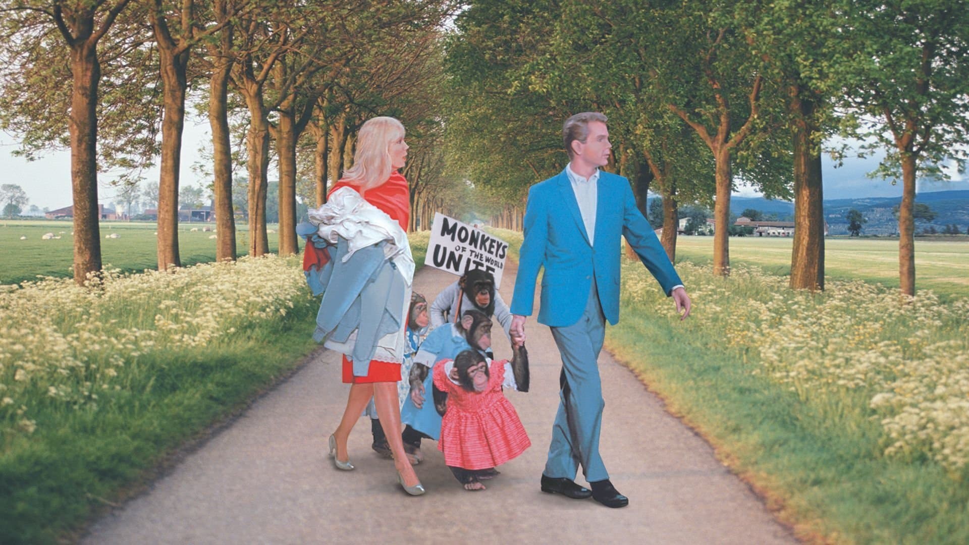 Monkeys, Go Home! backdrop