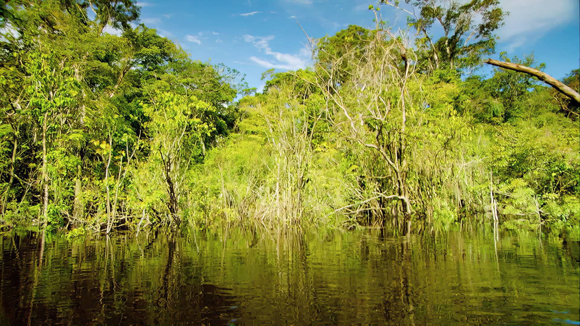 Last Chance to See backdrop