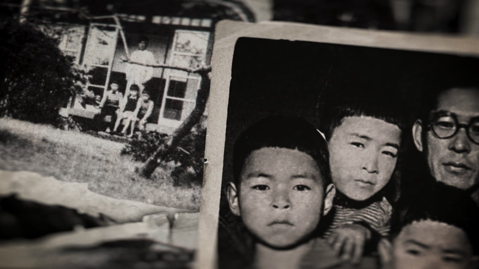 Miyazaki, Spirit of Nature backdrop