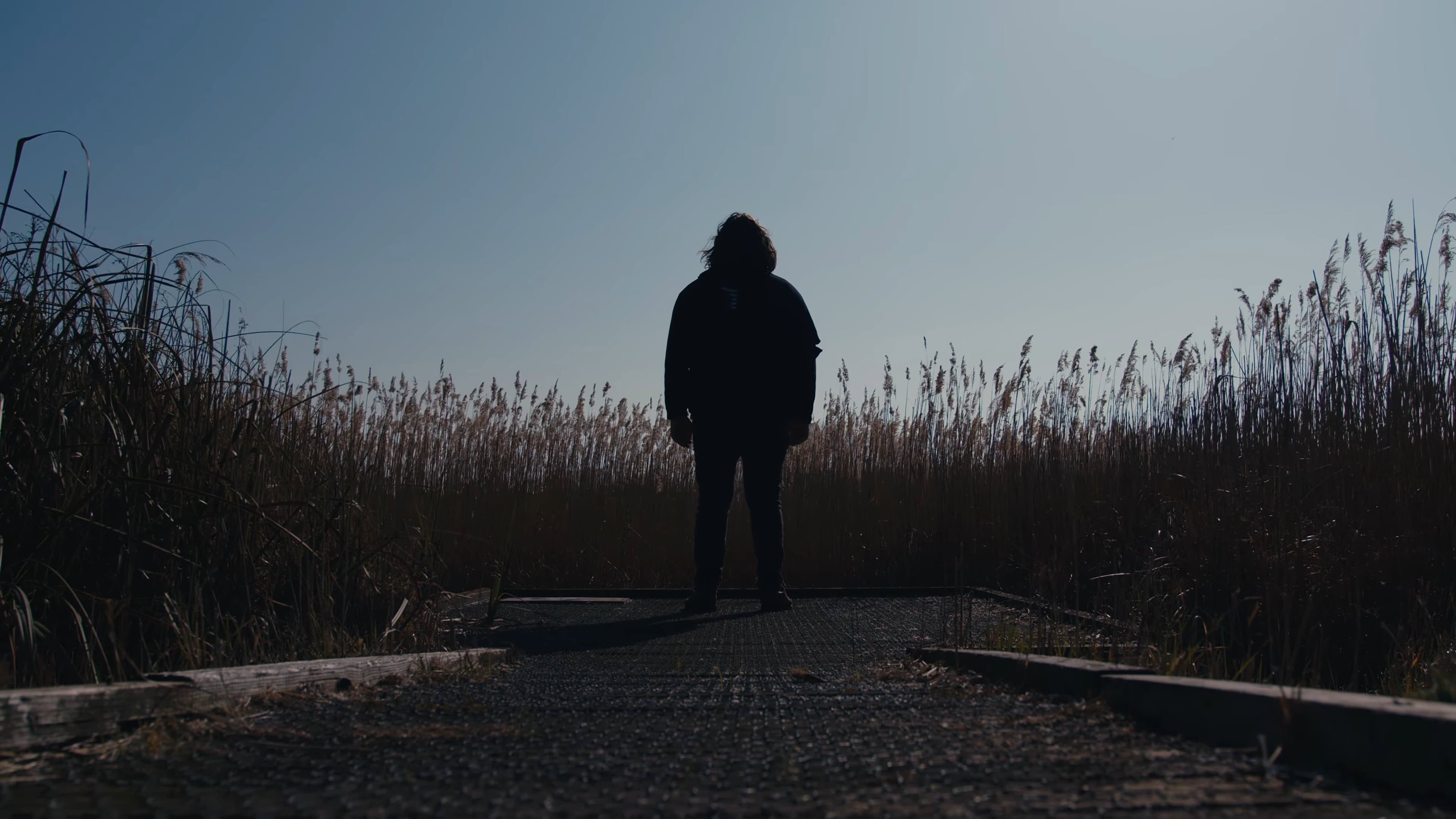 The Caricature: Requiem backdrop