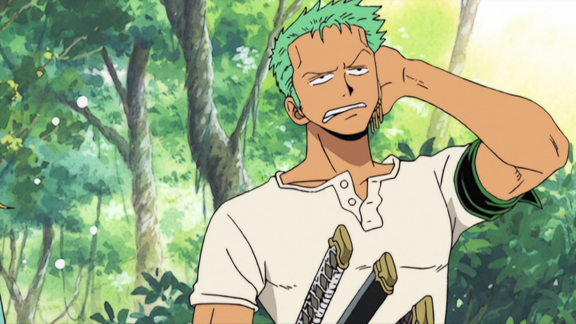 One Piece Special: Open Upon the Great Sea! A Father's Huge, HUGE Dream! backdrop