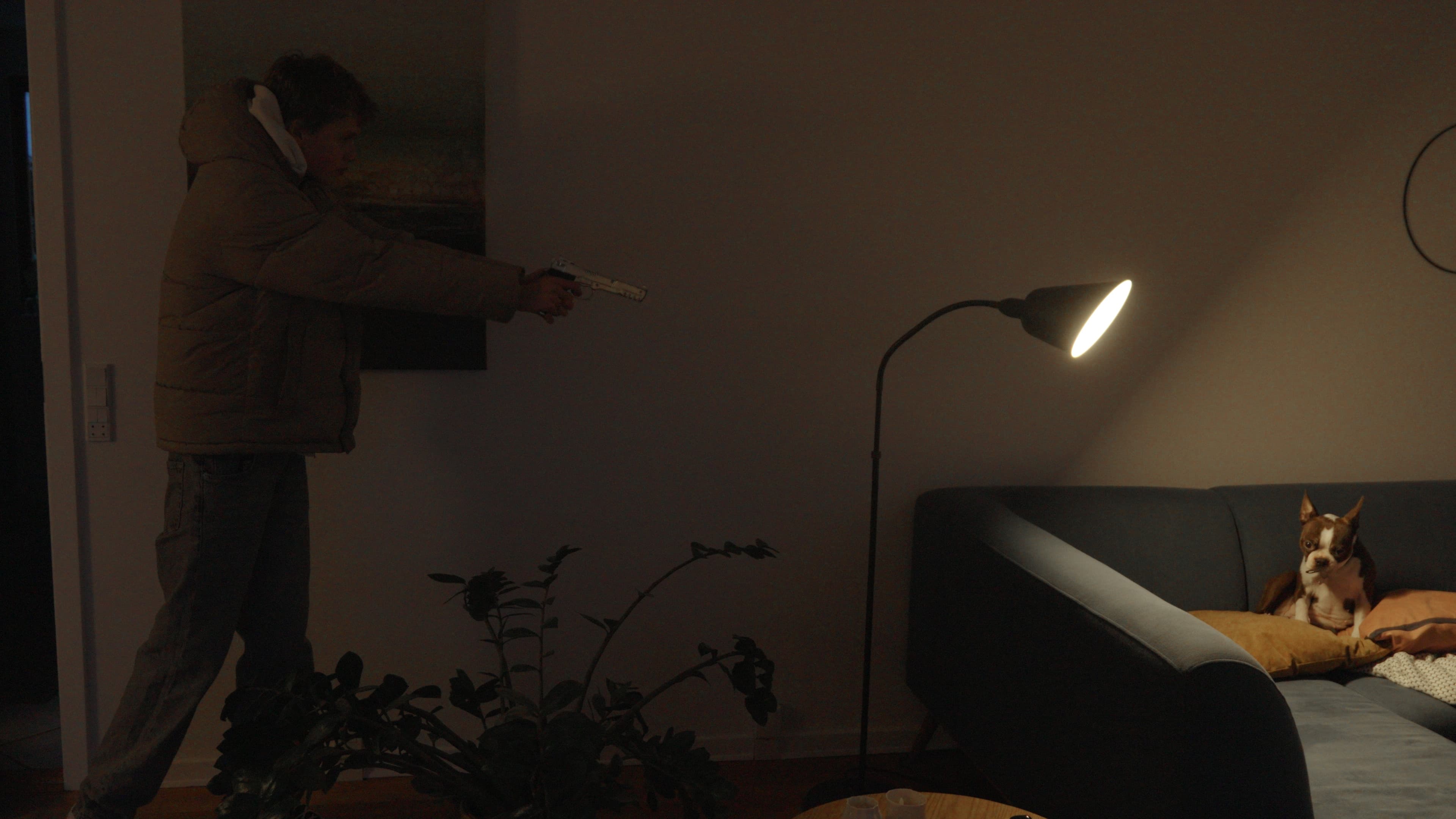 Sværeste stunt i byen backdrop