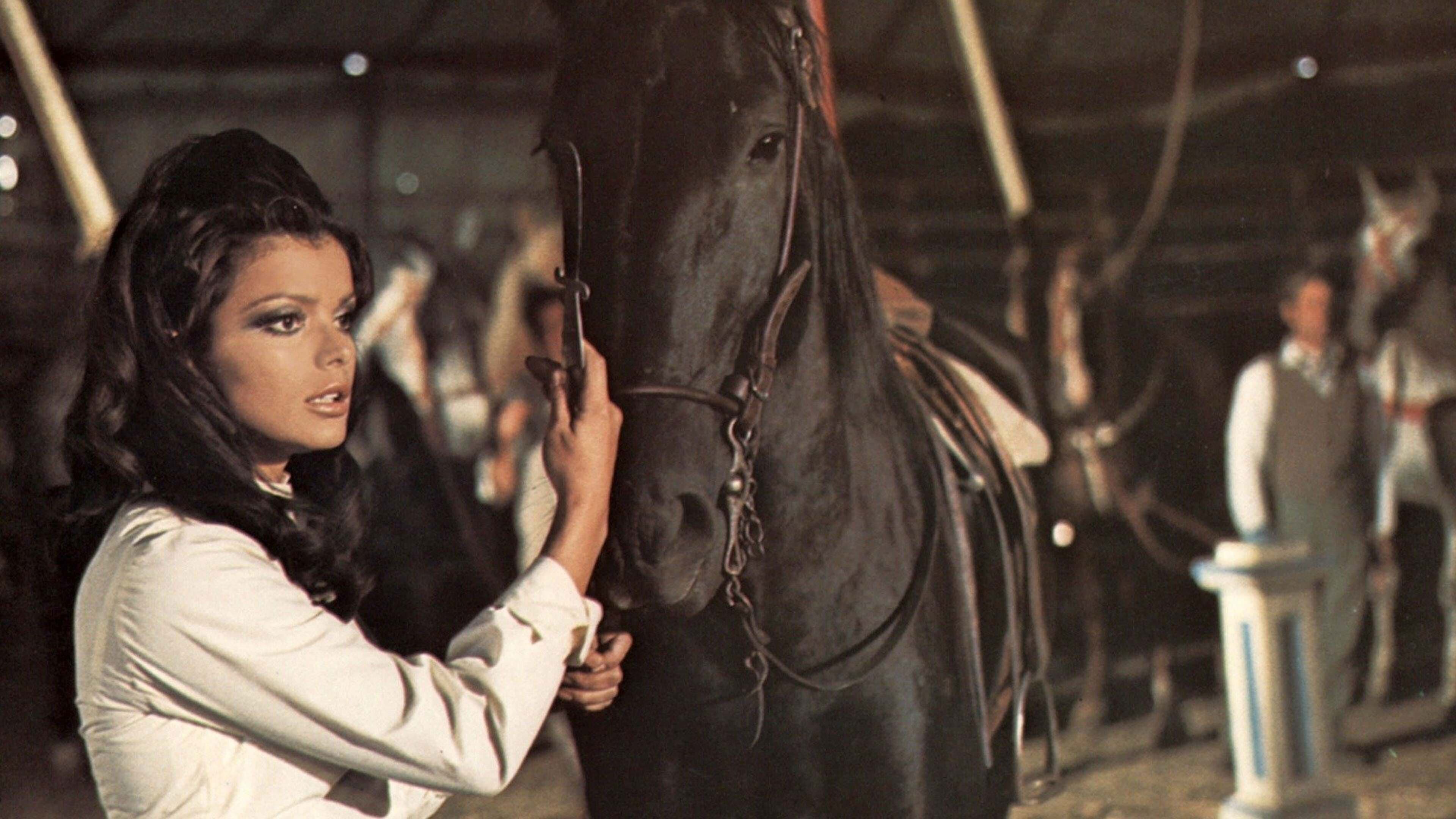Black Beauty backdrop