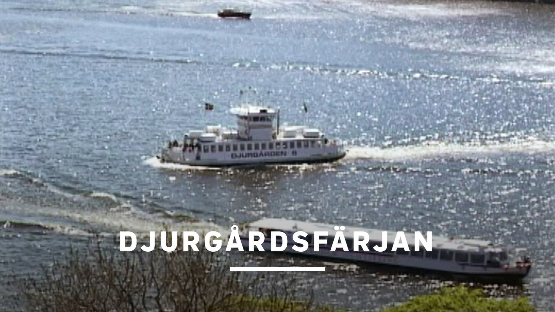 Djurgårdsfärjan backdrop