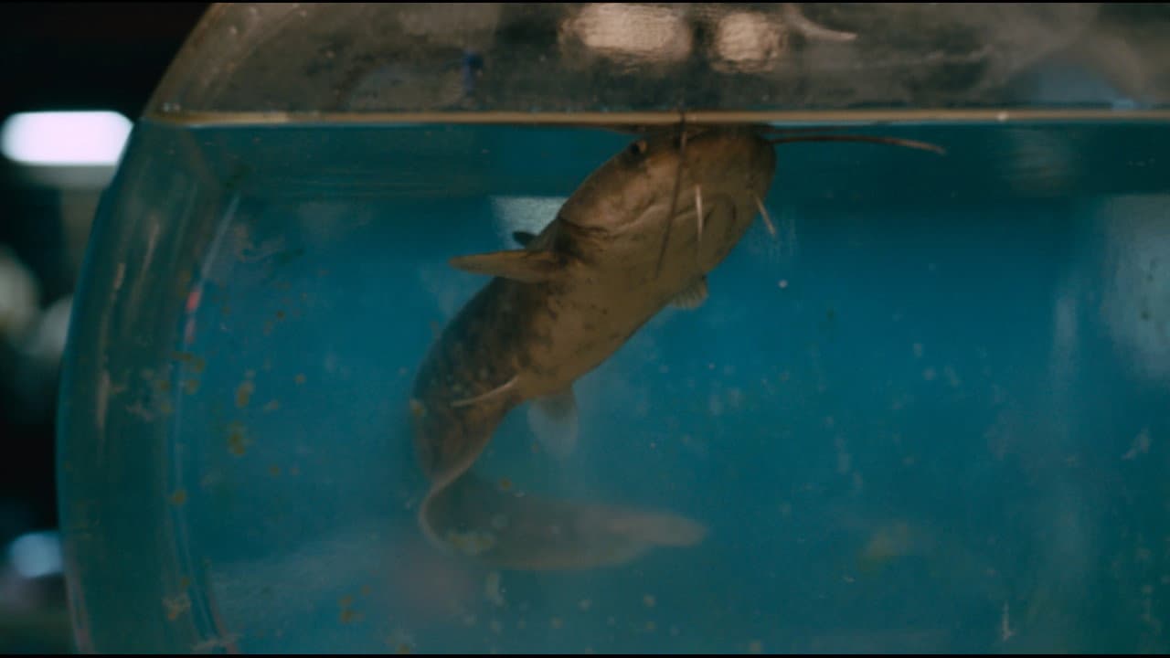 Sugar Glass Bottle backdrop