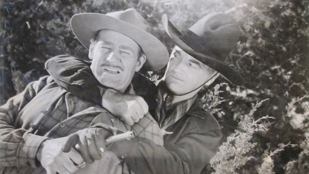 Hidden Gold backdrop