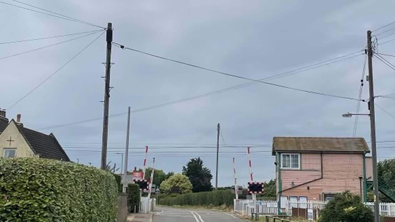 To Thine Own Self Be True backdrop