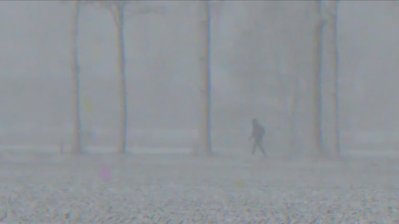 Midwinter Hue backdrop