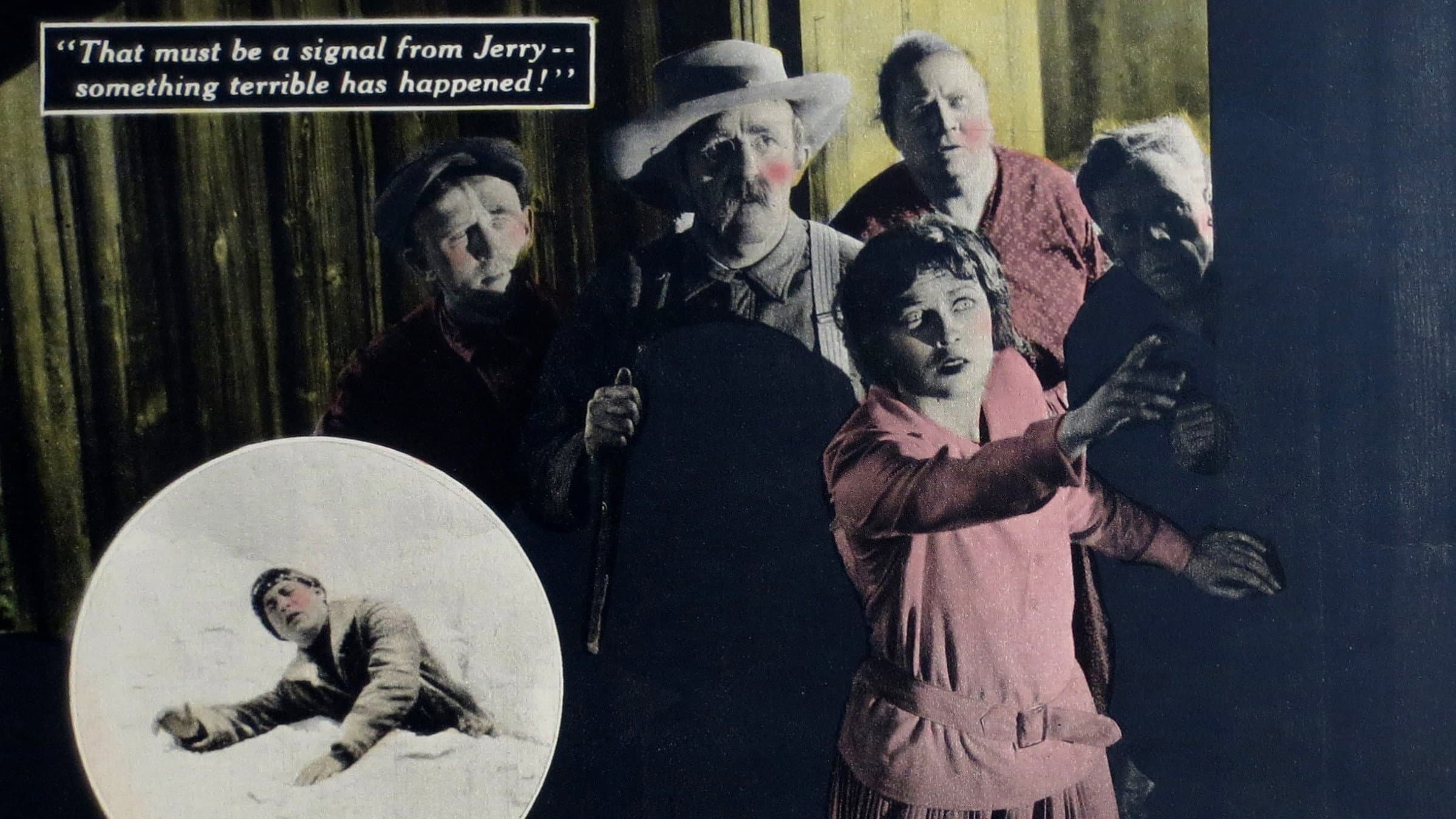Peacock Feathers backdrop