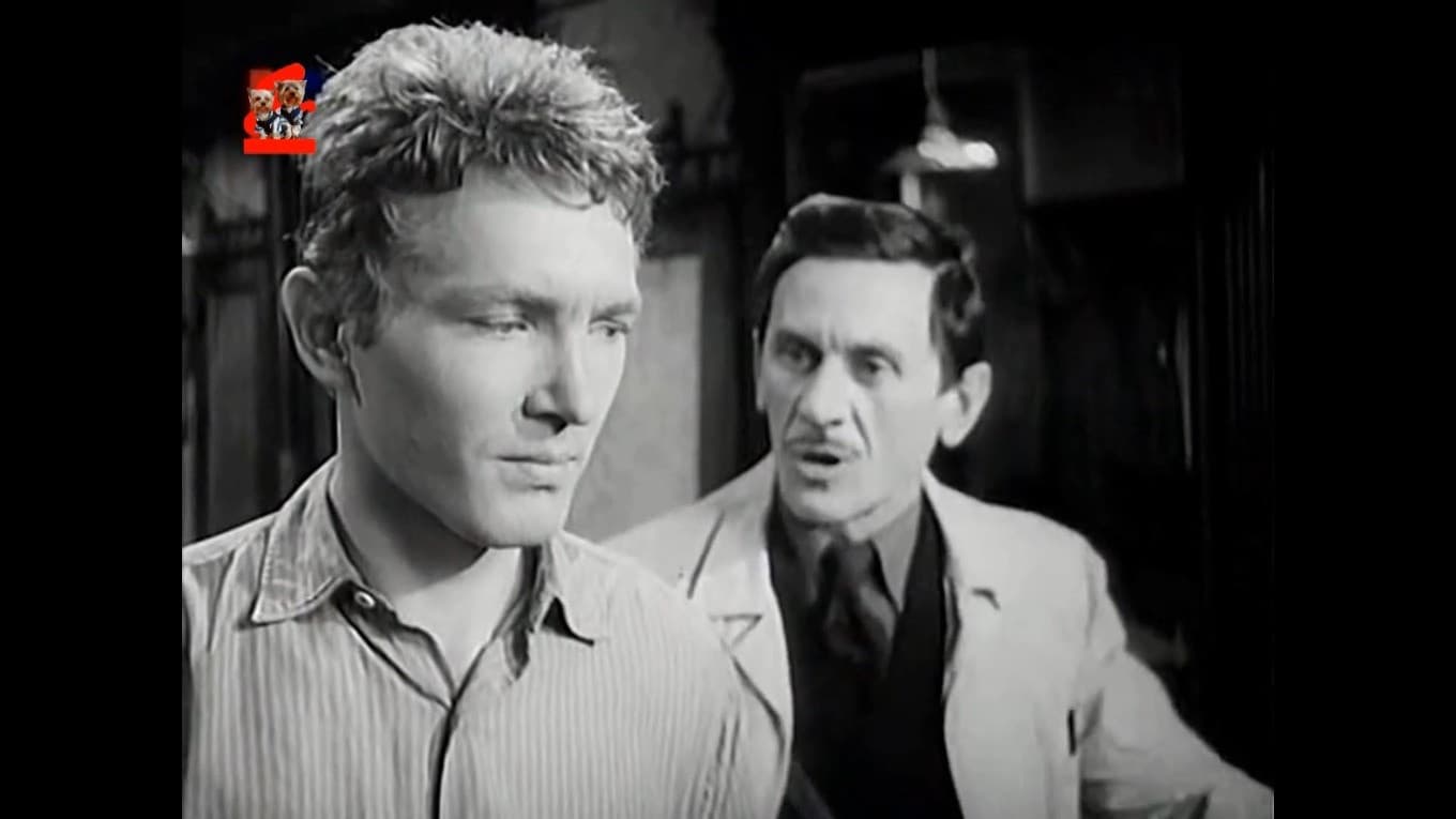 Saint Elizabeth Square backdrop