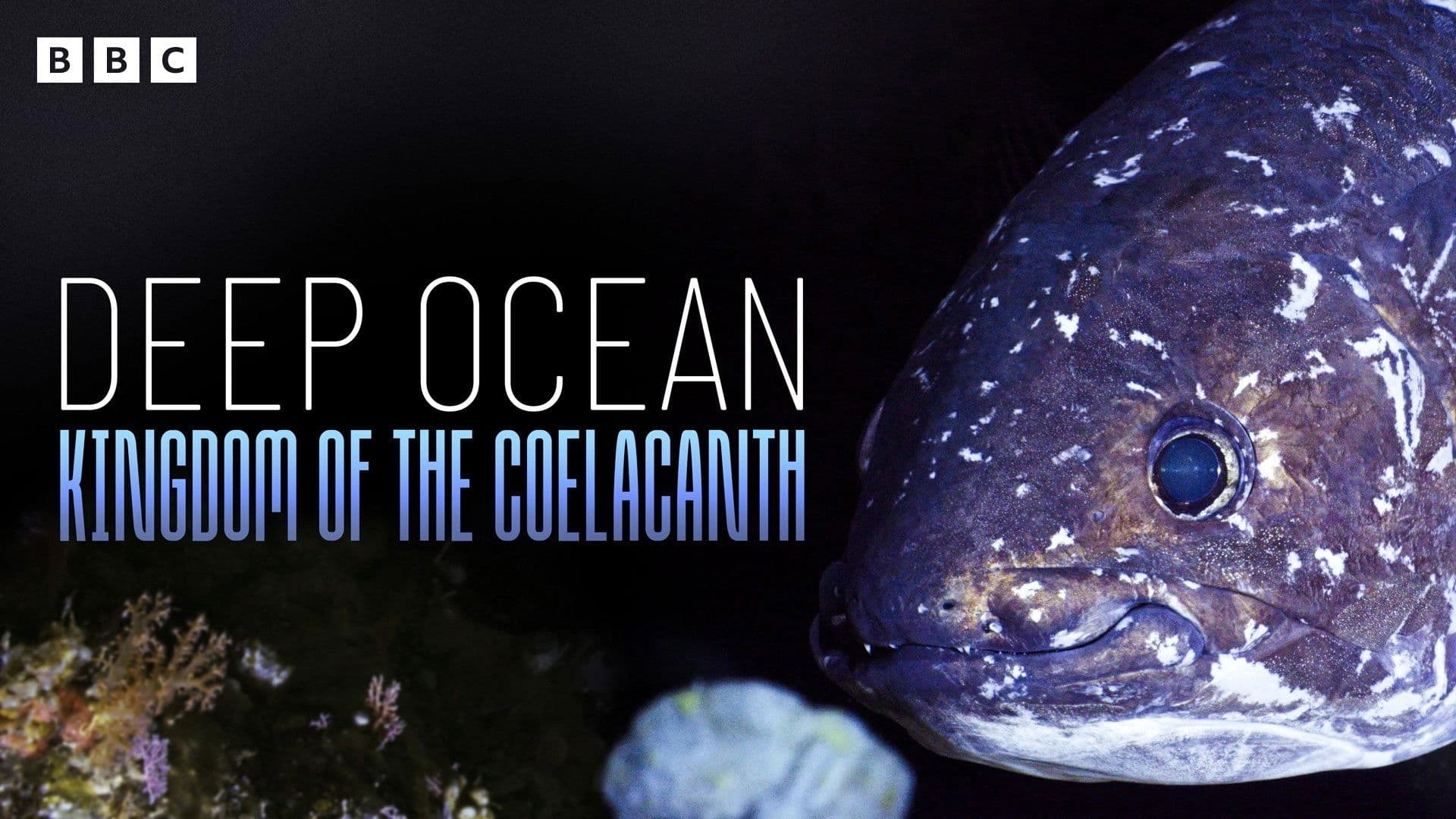 Deep Ocean: Kingdom of the Coelacanth backdrop