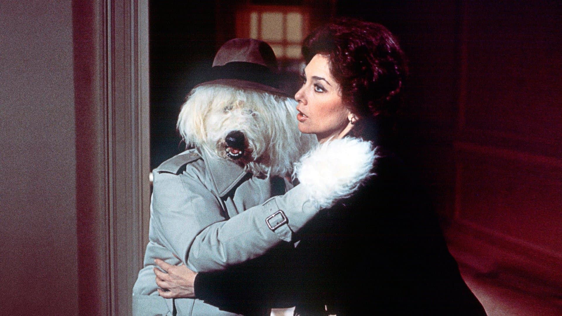 The Shaggy D.A. backdrop