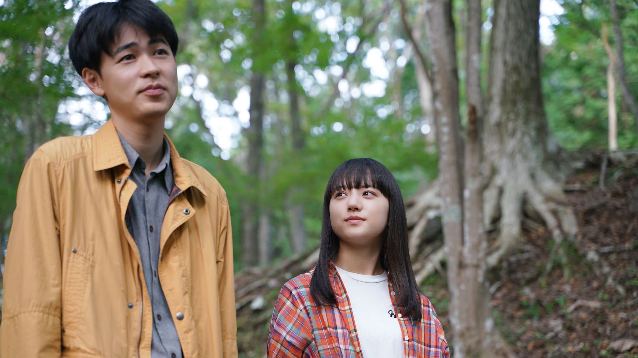 You're Not Normal, Either! backdrop